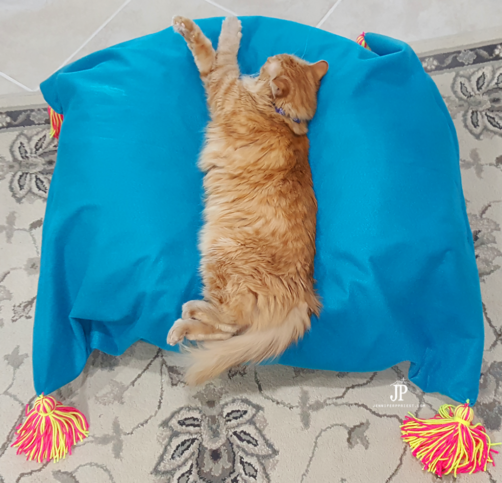 DIY-bean-Bag-cover-with-KUNIN-felt-jenniferppriest1