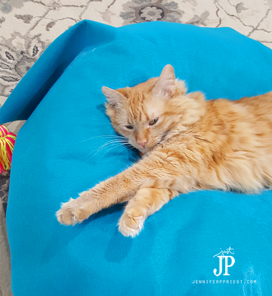 Felt-bean-bag-cover-with-kitty-jenniferppriest1