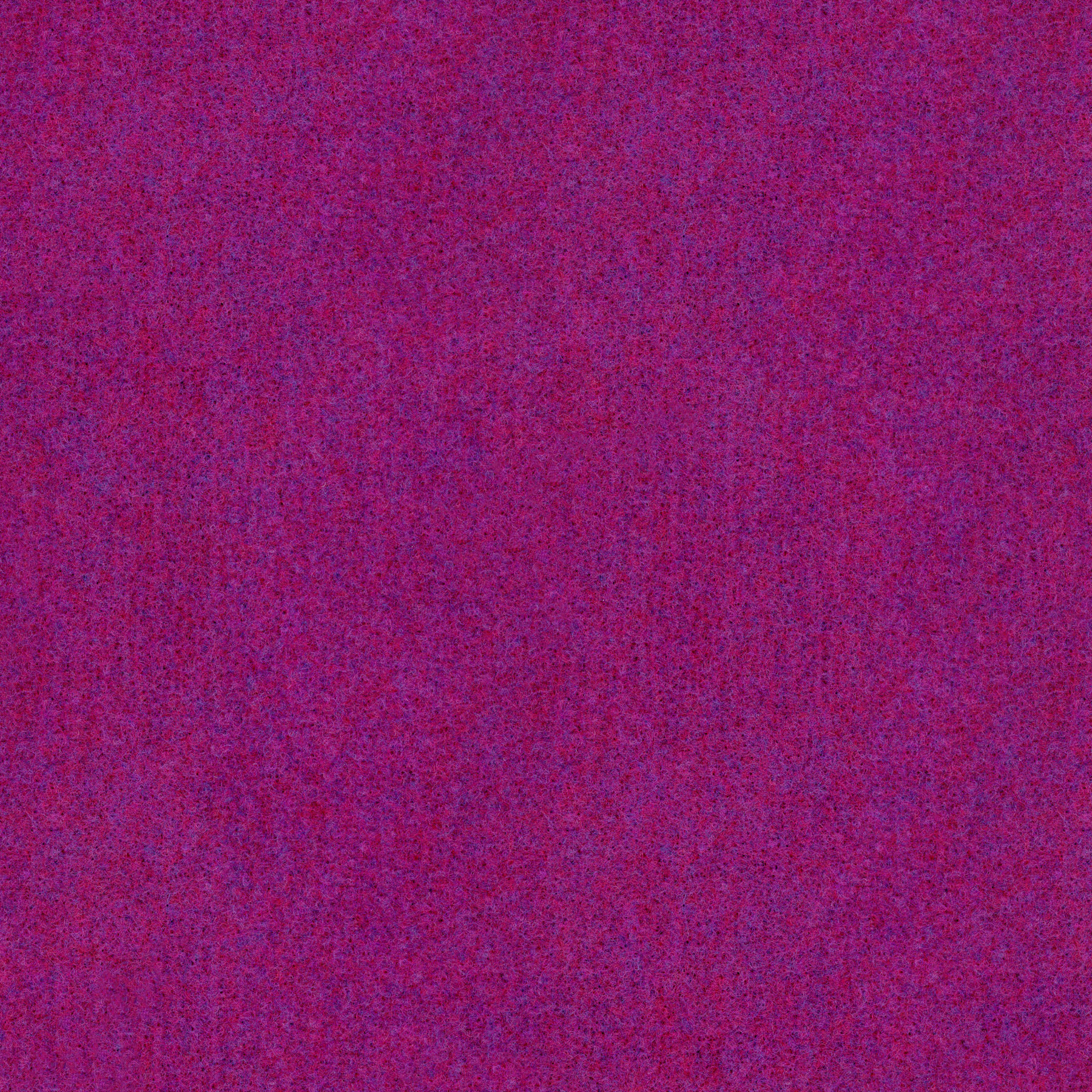 K30-Prickly Purple