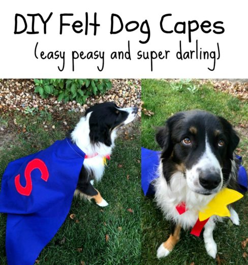 DIY Felt Dog Cape