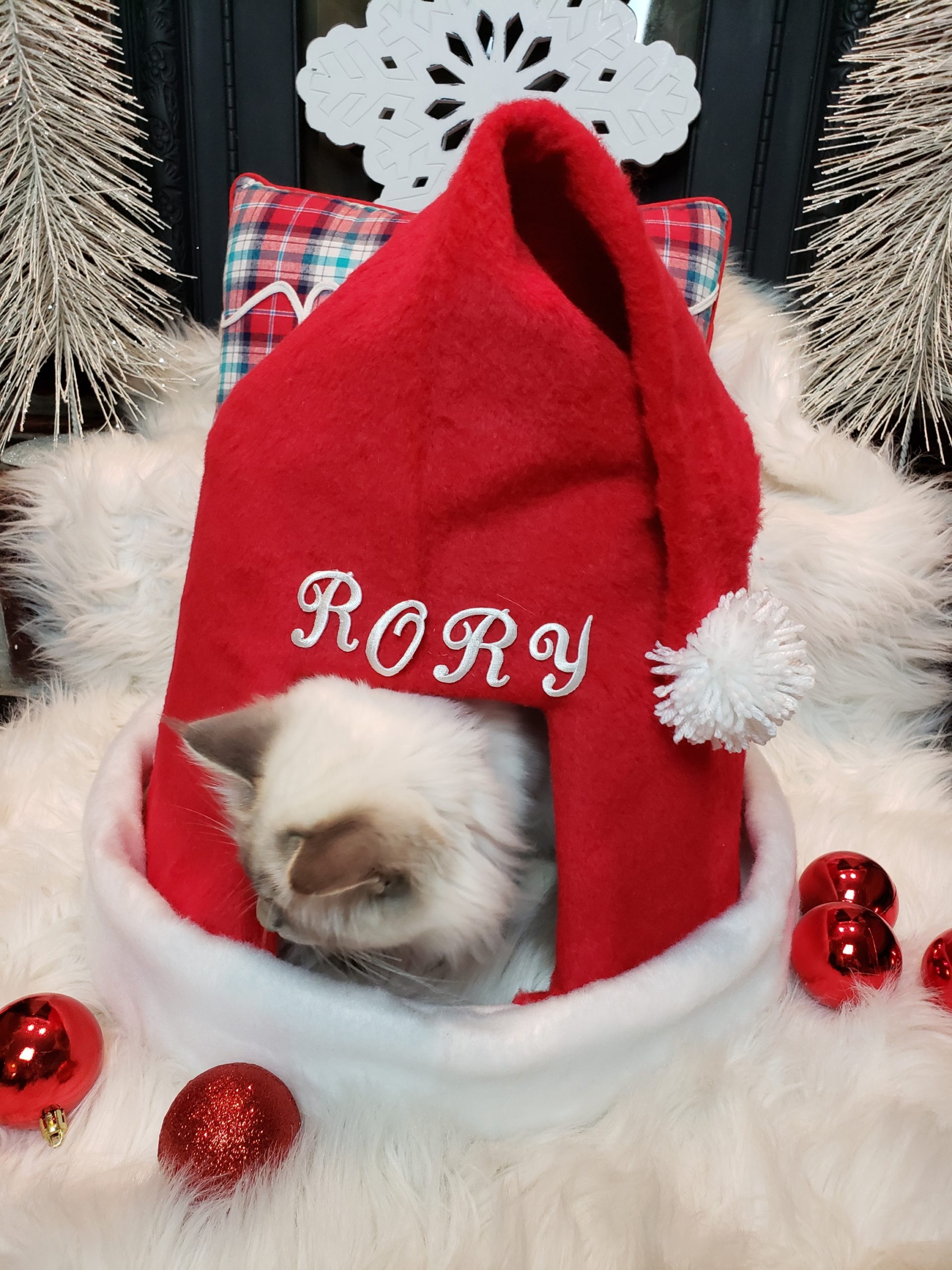 Santa hat cat clearance bed