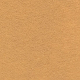 884 Cashmere Tan