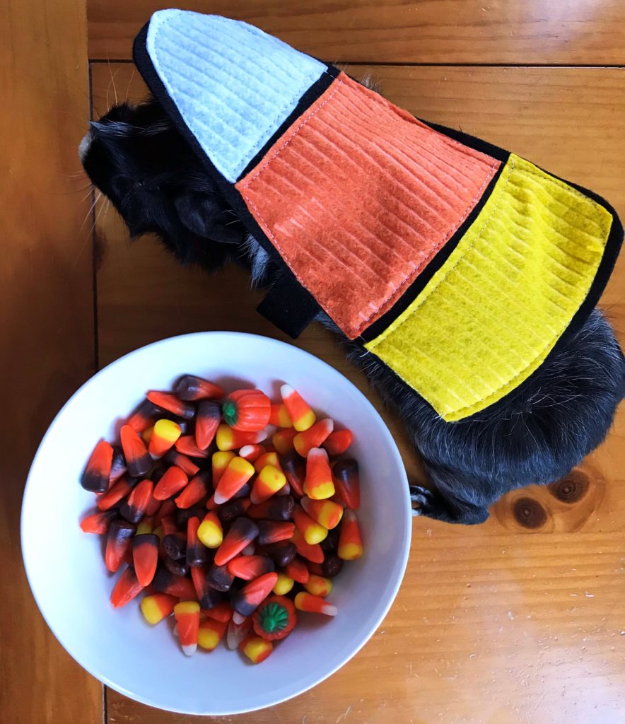DIY Felt Candy Corn Costume